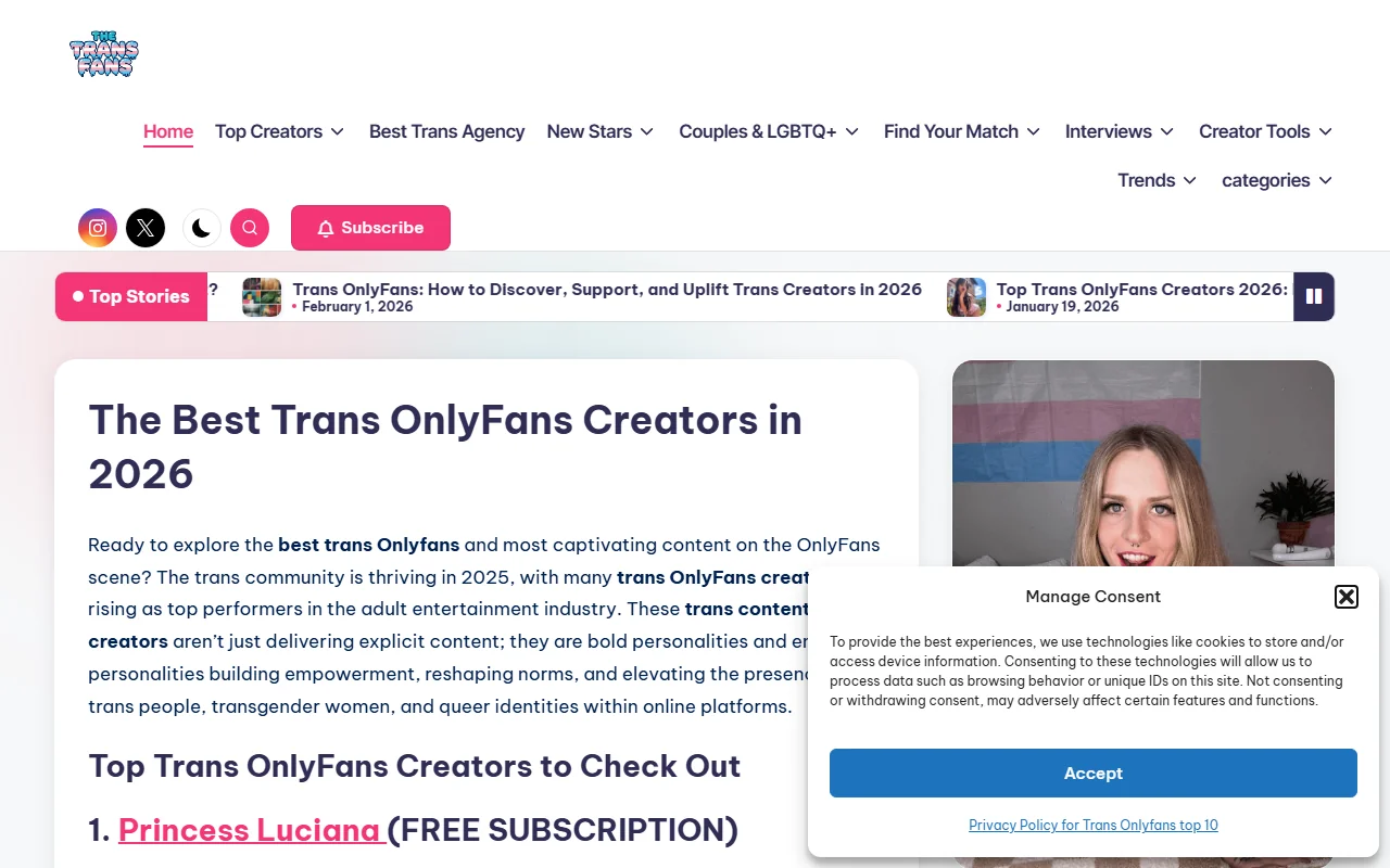 Screenshot of Thetransfans Review